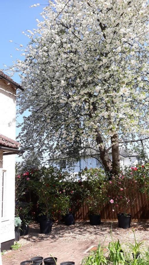 فندق كامبريدجفي  Hobsons House المظهر الخارجي الصورة